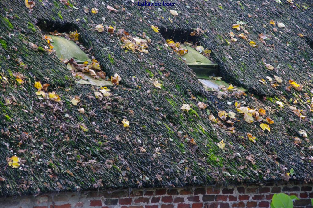 tour 2010 (28).jpg - met mooie dakramen